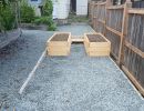 25raised garden beds 20250807