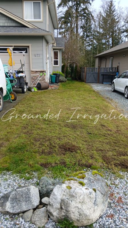 dethatching dethatched and raked