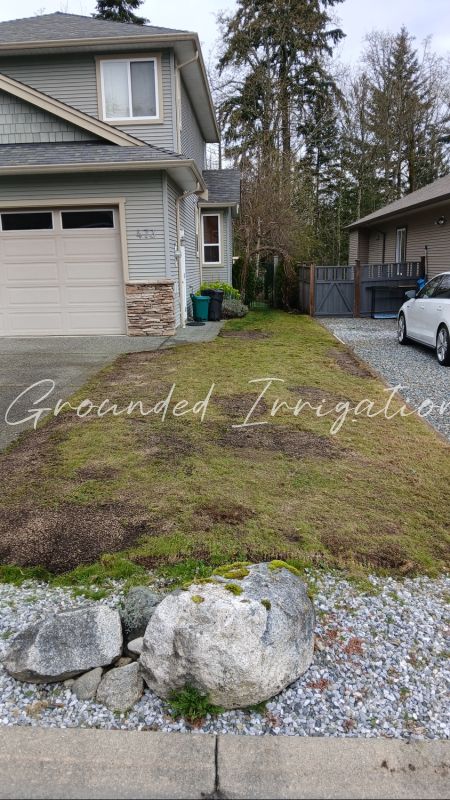 dethatching top dressed