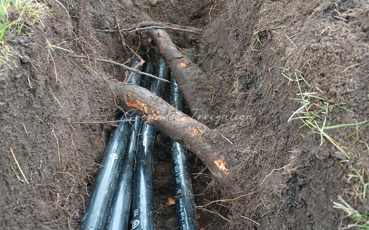 pipes under roots in trench