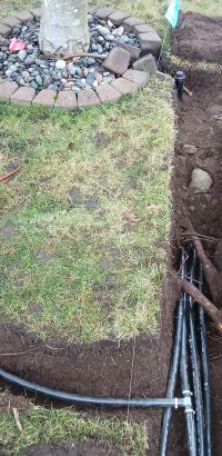 roots in trench multiple pipes far