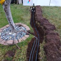 shady trench pop ups and tree drip zone